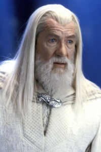 Lord of the Rings, The: The Fellowship of the Ring [Ian McKellen]